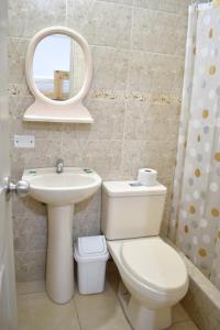 W łazience znajduje się toaleta, umywalka i lustro. w obiekcie Hospedaje El Buen Samaritano w mieście Paracas