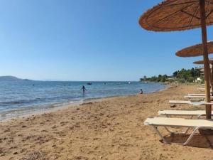 a group of beach chairs and umbrellas on a beach at Boutique Villa Aspasia in Lixouri