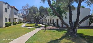 a street of houses with trees and a sidewalk at Refreshing POOL Old Town Scottsdale 4 Bdr 3 FULL Baths in Scottsdale