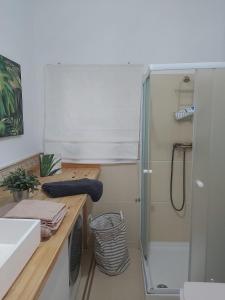 a small bathroom with a shower and a sink at Buhardilla en el Cantón in Ferrol