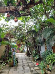 a walkway in a garden with trees and plants at Pousada Bora Bora in Guarapari