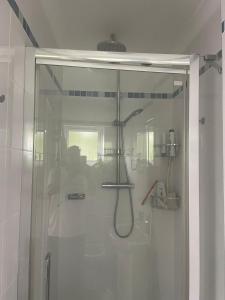 a shower with a glass door in a bathroom at Applewood Inn in Kathmandu