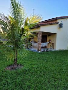 a palm tree in a yard next to a house at Chácara Beira Rio - NX -MT in Chavantina