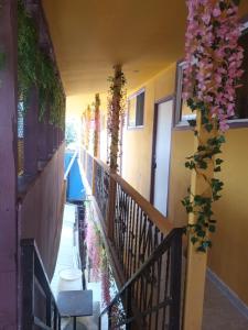 Balkón nebo terasa v ubytování Hospedaje Barato Mi Casita de Colores