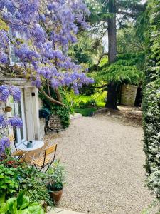 un jardín con flores púrpuras en un árbol en Appart 40m2 dans maison - Proche Paris en Meudon