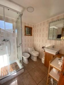 a bathroom with a shower and a toilet and a sink at Cabañas Estero Caracoles Malalcahuello in Malalcahuello +14 photos