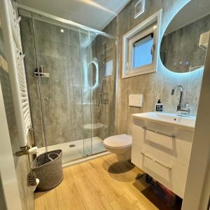 een badkamer met een douche, een toilet en een wastafel bij Huisje in Stijl in Ermelo