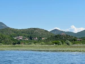 a view of a river with mountains in the background at Apartment Konoba Ulicevic in Vranjina
