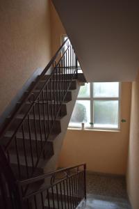 Fotografie z fotogalerie ubytování Apartman Nina v destinaci Vranje