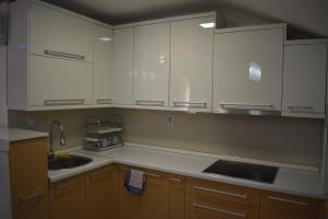 Kuchyň nebo kuchyňský kout v ubytování Apartman Nina