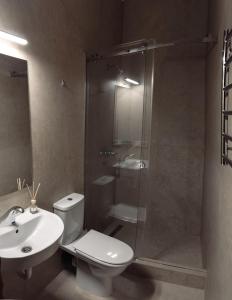 a bathroom with a shower and a toilet and a sink at Nesvit Hotel in Kyiv