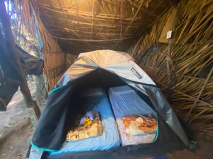une tente avec un oiseau à l'intérieur dans l'établissement Camping Permacultural Filhos da Floresta, à Vale do Capão