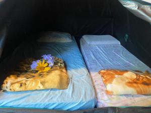 dwa łóżka z tyłu namiotu w obiekcie Camping Permacultural Filhos da Floresta w mieście Vale do Capao