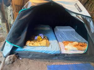 Due animali sono sdraiati in una tenda di Camping Permacultural Filhos da Floresta a Vale do Capao