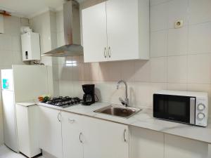 a white kitchen with a sink and a microwave at Marsán in Arzúa +34 photos