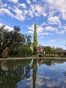 un reflejo de un árbol en un estanque en Alto Chacras Cottage en Chacras de Coria