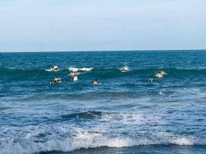 um grupo de pessoas nadando no oceano em Crocotopond em Baía de Arugam