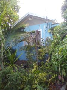 una casa blu con balcone in giardino di Captain Morgan House a Kingston
