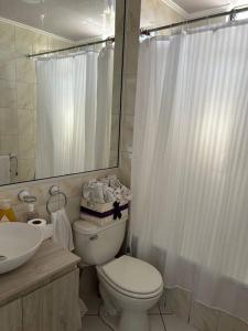 a white bathroom with a toilet and a sink at Espectacular casa para la Exponor in Antofagasta