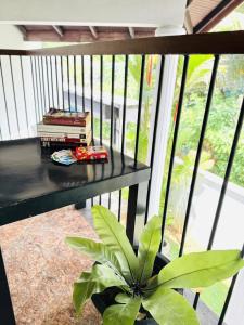 Fotografie z fotogalerie ubytování Skylight Villa v destinaci Kandy