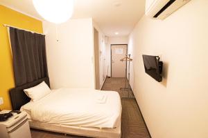 衣笠にあるアナザースカイ京都二条城のベッド1台とテレビが備わる小さな客室です。