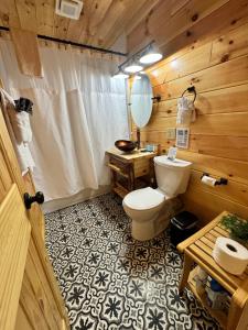 a bathroom with a toilet and a sink and a mirror at Paradise at the Smokies Cabin in Sevierville