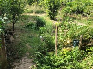 a garden with a fence and a fire hydrant at Gite du Ried in Bischwiller