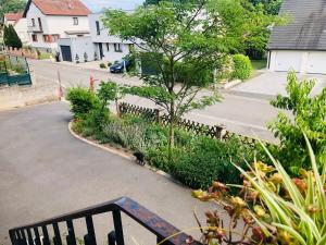 Zahrada ubytování Gite du Ried