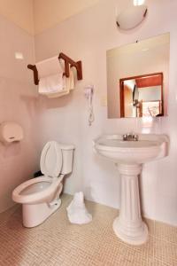 y baño con aseo y lavamanos. en Hotel Anua Oaxaca, en Oaxaca City