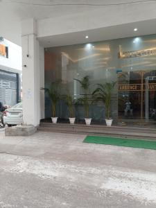 新德里的住宿－Hotel Ambience Dilli 37 At - Near IGI Airport，前面有盆栽植物的商店