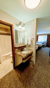 uma casa de banho com um lavatório e um espelho grande em Browns Canyon Inn em Salida