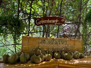 una exposición de cactus de hoja verde sobre una mesa de madera en Greenheart garden View Camp phuket, en Kata Beach