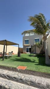 a house with a palm tree and a building at درة العروس - فيلا الحلم Dream 4u in Durat Alarous