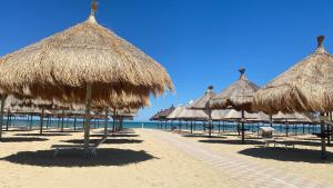 a group of straw umbrellas on a beach at WestHouse in Pescara