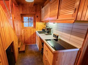 eine Küche mit Holzschränken und einer Arbeitsplatte in der Unterkunft Relax house AVUS with Sauna in Slap ob Idrijci