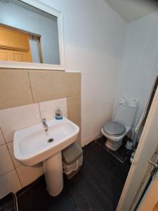 une salle de bain avec un lavabo et des toilettes dans l'établissement Townsend Studio/Rooms, à Liverpool