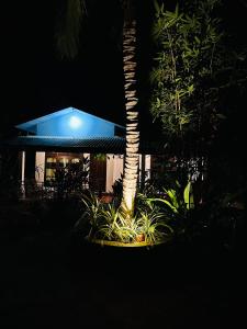 Zahrada ubytování Sigiri Hibiscus Villa