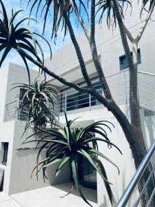 Foto sihtkohas Langstrand asuva majutusasutuse Shametu @ Sea galeriist