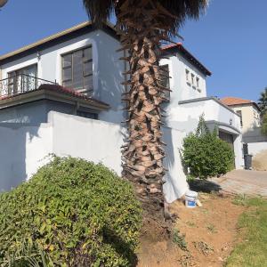 a palm tree in front of a white house at Kwetu Prop in Johannesburg