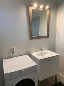 a bathroom with a washing machine and a sink at Jolie médocaine avec jardin in Saint-Estèphe
