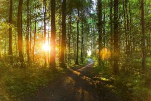 Imagen de la galería de Ostsee-Chaletpark, en Bliesdorf