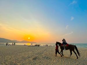 a person riding a horse on the beach at By The Sea, Penang in Batu Ferringhi