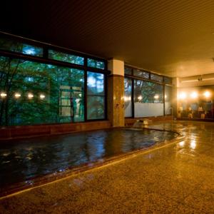 a swimming pool in a building with a large window at Asoviva Nagano Park in Nagano