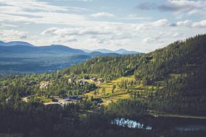 una vista aerea di una valle con alberi e un lago di Tännäskröket a Tännäs