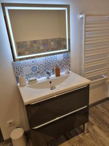 een badkamer met een wastafel en een spiegel bij Le St Gildard in Nevers