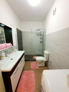 ティラナにあるSilver Apartments Delijorgjiのバスルーム(トイレ、洗面台、シャワー付)