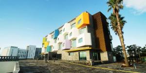 a building with colorful windows next to a palm tree at Login Hotel in Jeju