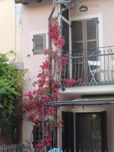 a building with pink flowers on the side of it at Bouganville House in Senigallia