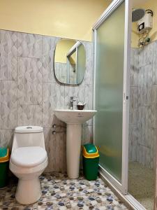 La salle de bains est pourvue de toilettes, d'un lavabo et d'un miroir. dans l'établissement Bamboo Paradise Beach Resort, à Argao