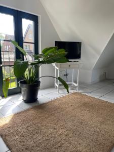 a living room with a potted plant and a television at CHARMANTE WOHNUNG mit Garten, gemütlich, ruhig, zentral in Neukirchen-Vluyn